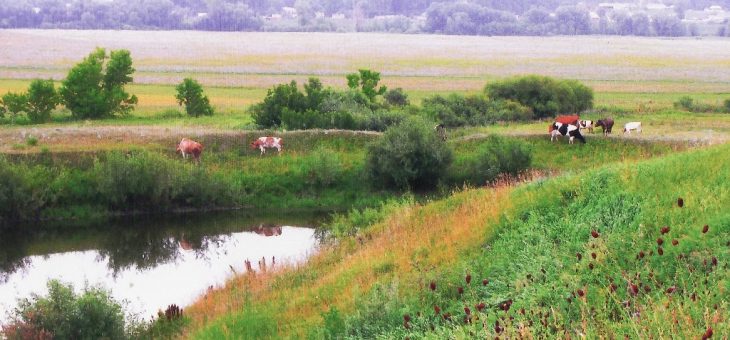 Моя земля — алтайское село