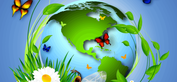 Загадки на каждом шагу