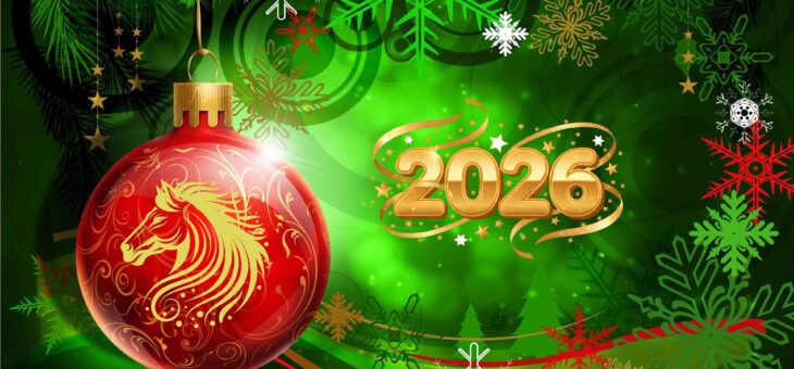 Новый год в библиотеке