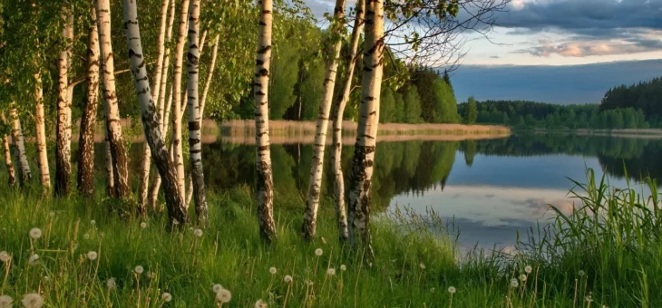 Нет в мире краше — Родины нашей